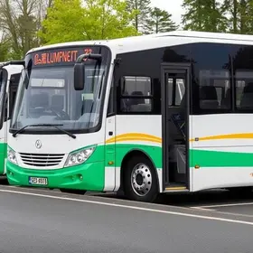 renovação de frotas de ônibus