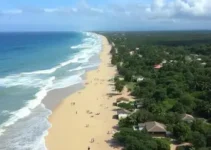 recuperação Passo Novo
