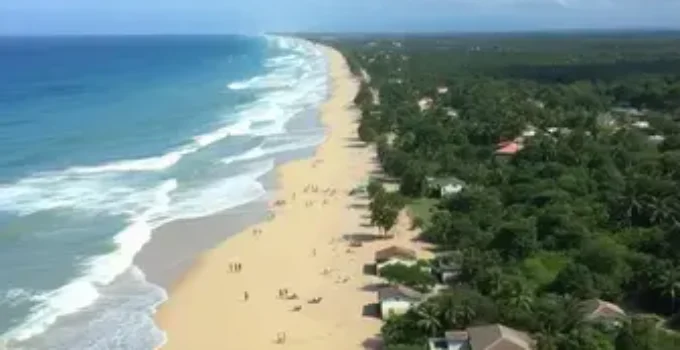 recuperação Passo Novo
