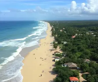 recuperação Passo Novo